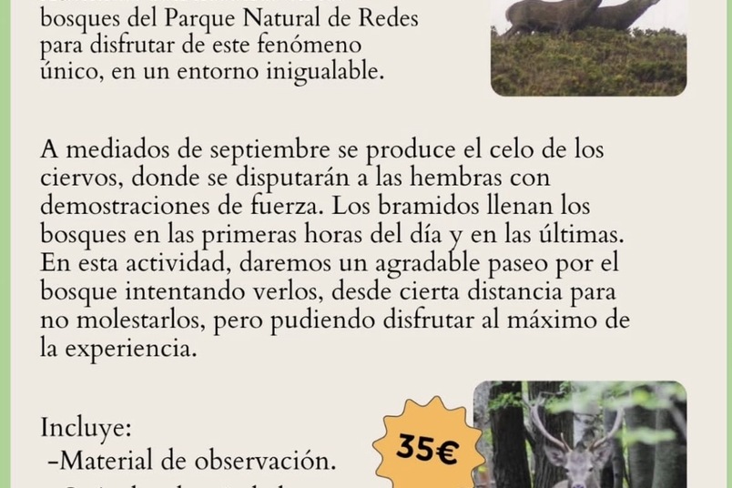 Noticia 1