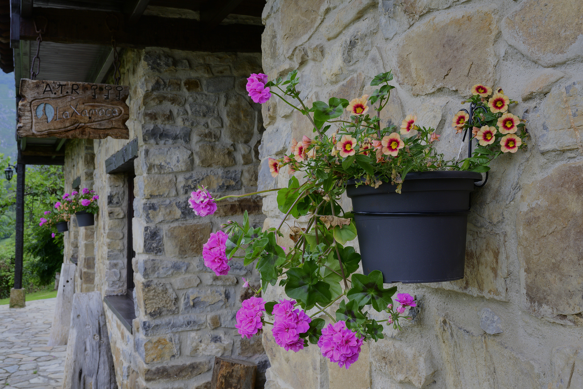 Imagen header parallax