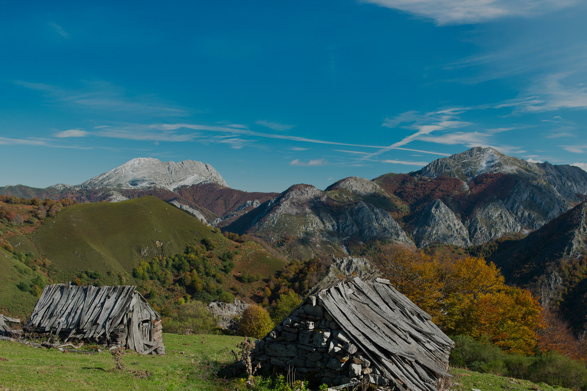 Imagen header parallax