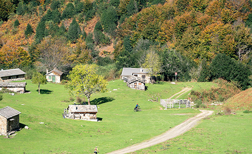 Ruta de Brañagallones
