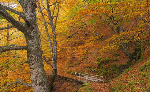 Ruta Tabayón del Mongallu